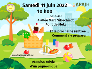 Réunion SomDys le 11 juin 2022
